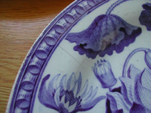 WEDGWOOD DARWIN BOTANICAL SET OF THREE PLATES CIRCA 1800 - ADDITIONAL PHOTO 5