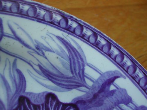 WEDGWOOD DARWIN BOTANICAL SET OF THREE PLATES CIRCA 1800 - ADDITIONAL PHOTO 6
