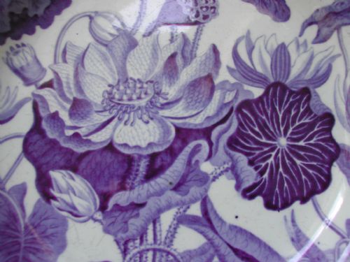 WEDGWOOD DARWIN BOTANICAL SET OF THREE PLATES CIRCA 1800 - ADDITIONAL PHOTO 7