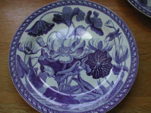 WEDGWOOD DARWIN BOTANICAL SET OF THREE PLATES CIRCA 1800 - ADDITIONAL PHOTO 11