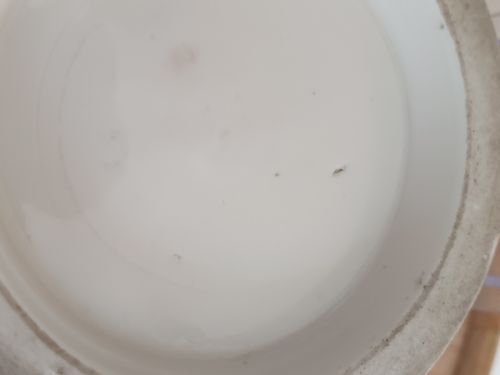 CHINESE BLANC DE CHINE CENSER CIRCA 1620 1650 - ADDITIONAL PHOTO 19