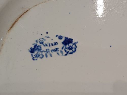 WILD ROSE PATTERN BLUE WHITE TRANSFER PRINT LARGE MEAT PLATE CIRCA 1850 - ADDITIONAL PHOTO 9