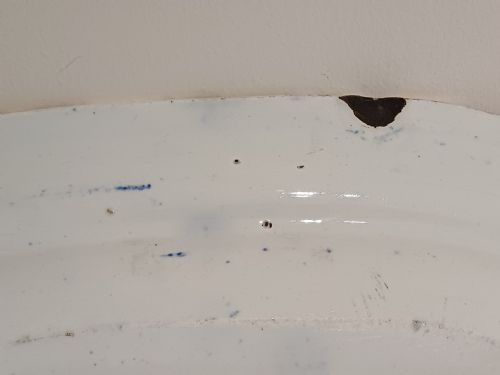 WILD ROSE PATTERN BLUE WHITE TRANSFER PRINT LARGE MEAT PLATE CIRCA 1850 - ADDITIONAL PHOTO 10