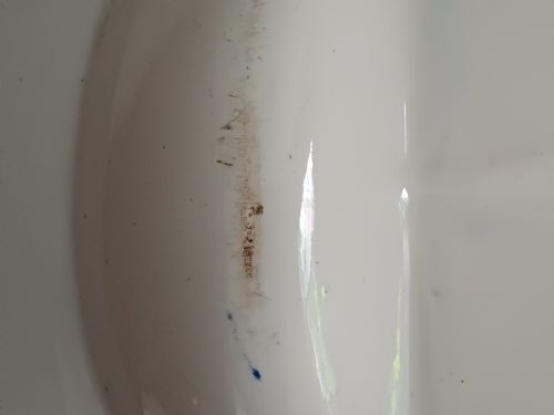 BLUE AND WHITE WATER DOG PATTERN TRANSFER PRINT MEAT DISH WITH GRAVY WELL DATING CIRCA 1825 - ADDITIONAL PHOTO 16