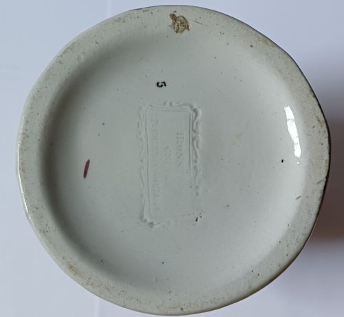 LIVESLEY POWELL CO LUSTERWARE BOTANICAL IRONSTONE CHINA JUG DATING CIRCA 1855 - ADDITIONAL PHOTO 7