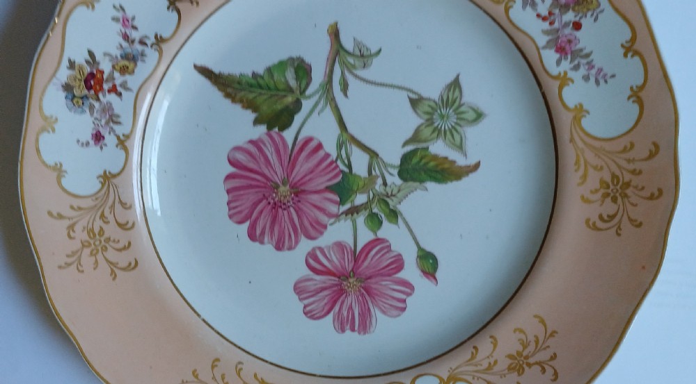 (Reserved PS) A fine English Botanical Plate, signed Adams in iron red to the reverse, dating Mid-19th Century View II