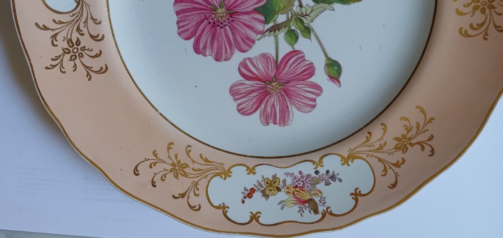 (Reserved PS) A fine English Botanical Plate, signed Adams in iron red to the reverse, dating Mid-19th Century View III