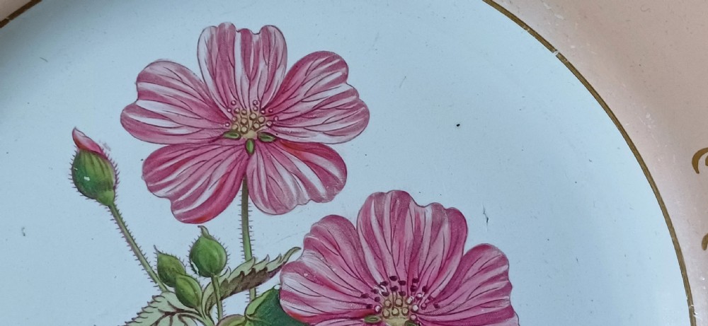 (Reserved PS) A fine English Botanical Plate, signed Adams in iron red to the reverse, dating Mid-19th Century View IV