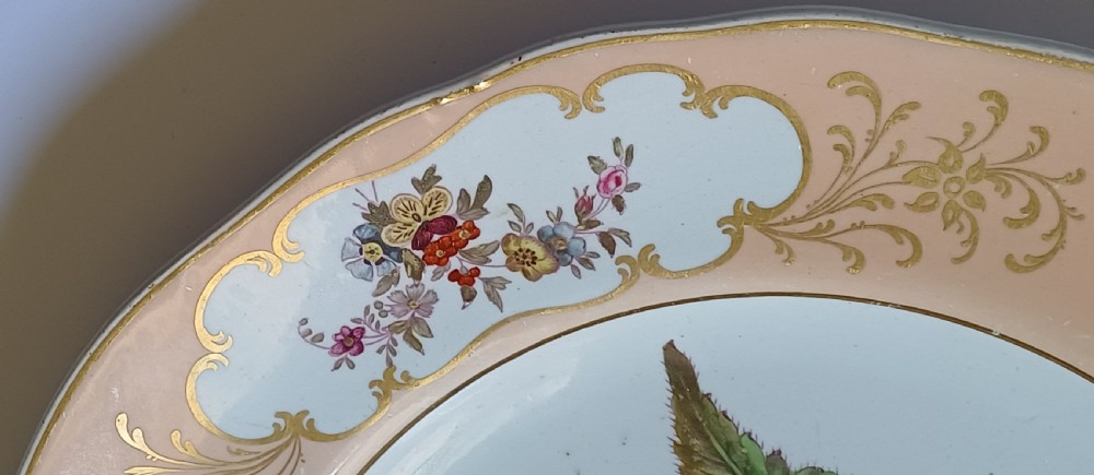 (Reserved PS) A fine English Botanical Plate, signed Adams in iron red to the reverse, dating Mid-19th Century View IX