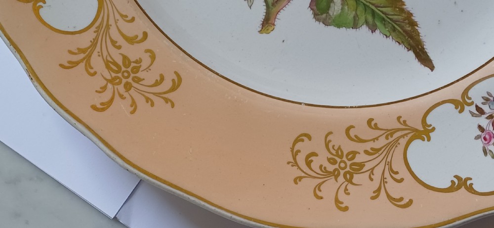 (Reserved PS) A fine English Botanical Plate, signed Adams in iron red to the reverse, dating Mid-19th Century View X