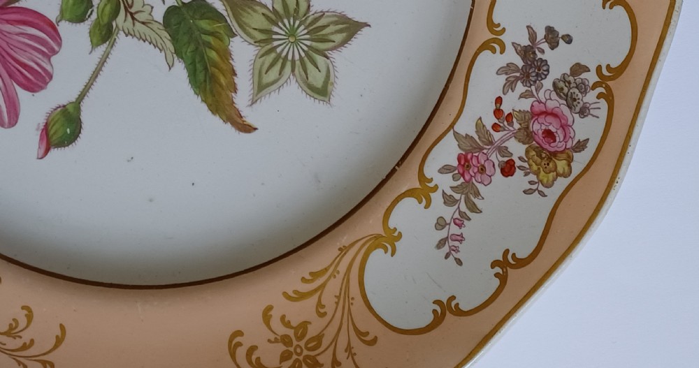 (Reserved PS) A fine English Botanical Plate, signed Adams in iron red to the reverse, dating Mid-19th Century View XI