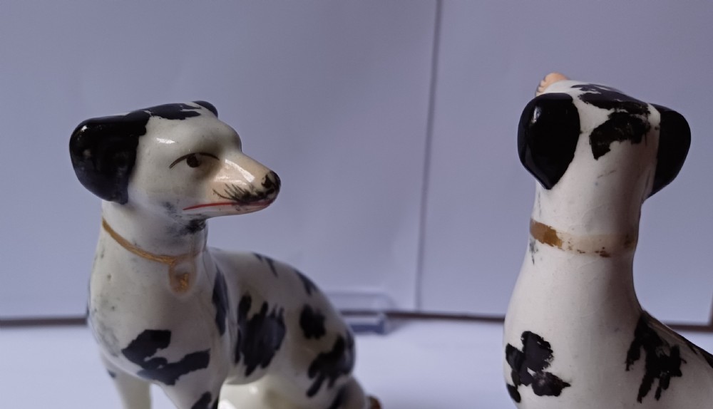 A Staffordshire rare pair on small black & white seated hounds dating circa 1865 View XIII