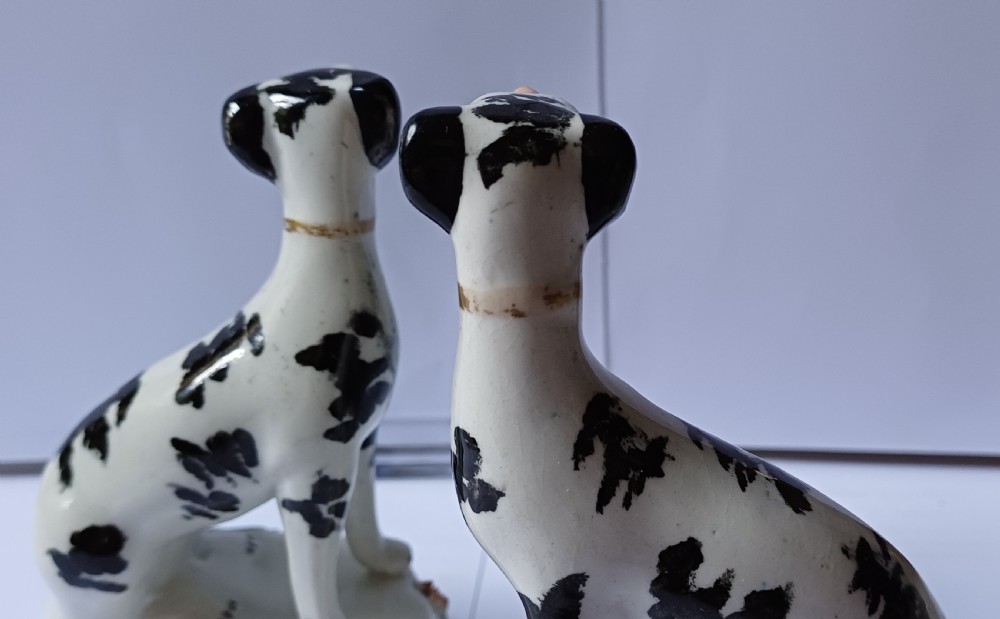 A Staffordshire rare pair on small black & white seated hounds dating circa 1865 View XV