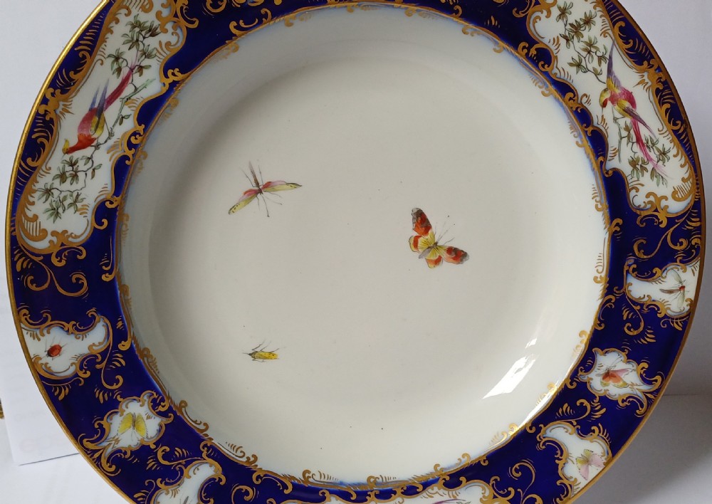 An antique circular porcelain soup dish featuring a dark cobalt blue rim with ornate gold scrollwork, painted birds, and butterflies in the centre. View VI