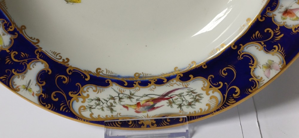 An antique circular porcelain soup dish featuring a dark cobalt blue rim with ornate gold scrollwork, painted birds, and butterflies in the centre. View IX
