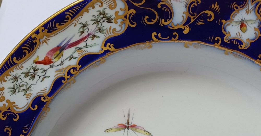 An antique circular porcelain soup dish featuring a dark cobalt blue rim with ornate gold scrollwork, painted birds, and butterflies in the centre. View XII