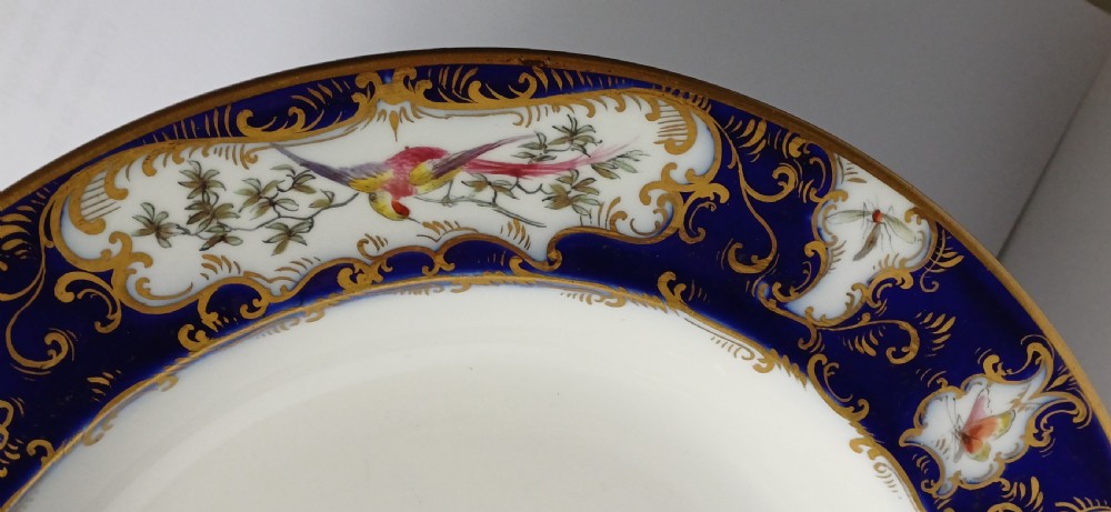An antique circular porcelain soup dish featuring a dark cobalt blue rim with ornate gold scrollwork, painted birds, and butterflies in the centre. View XIV