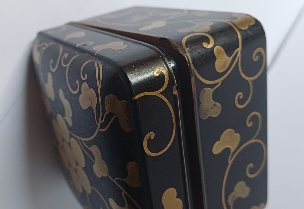 (Reserved VB) Japanese Lacquer Box and Cover, Edo Period (circa 1830) View IX
