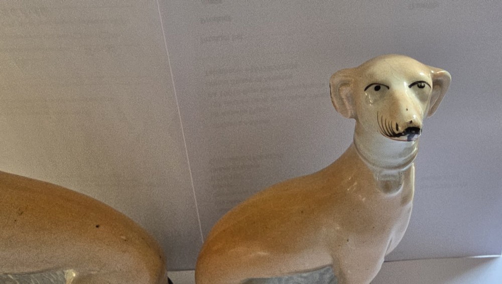 A pair of Victorian Staffordshire earthenware figurines depicting seated buff-coloured whippet dogs positioned on cobalt blue bases. View V
