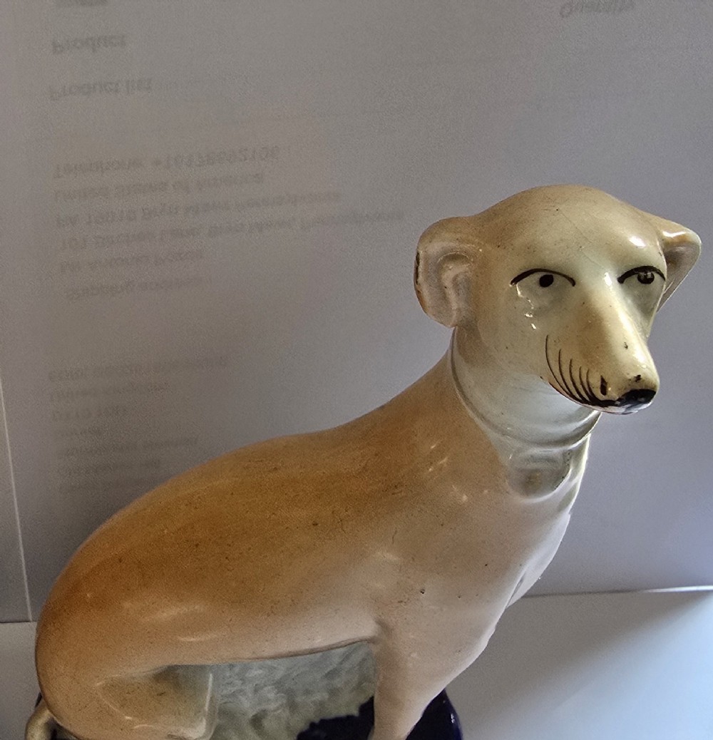A pair of Victorian Staffordshire earthenware figurines depicting seated buff-coloured whippet dogs positioned on cobalt blue bases. View VI