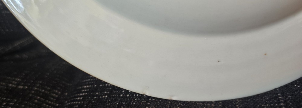 A circular Chinese export porcelain plate featuring a central heraldic crest with red mantling, encircled by a geometric diaper border and floral sprigs. View XI
