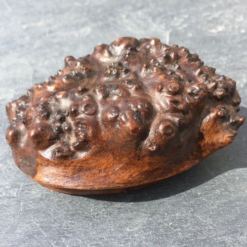 Antique Burr Maple Snuff Box