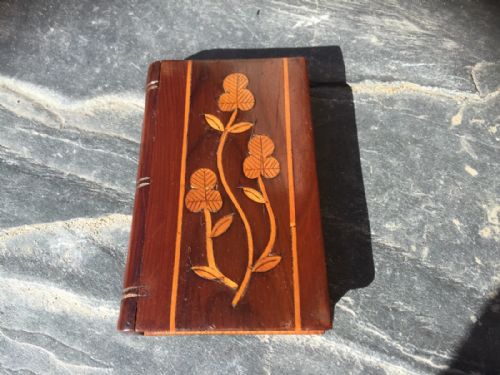 Antique Irish Killarney Card Case