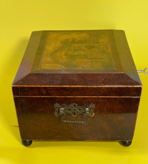 ANTIQUE YEW WOOD BOX - ADDITIONAL PHOTO 4