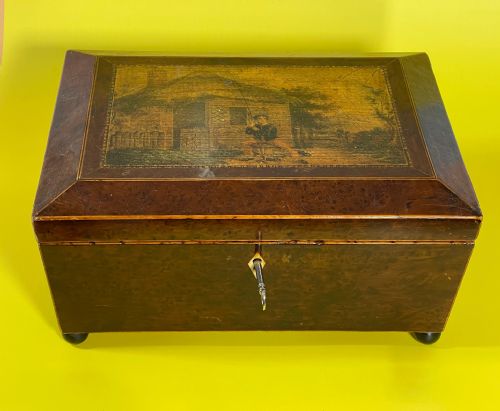 ANTIQUE YEW WOOD BOX - ADDITIONAL PHOTO 6