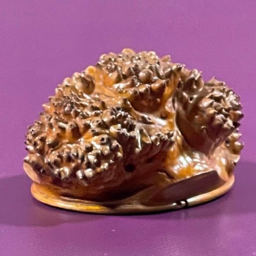 antique burr root scottish snuff box treen - CATEGORY: ANTIQUE BOXES - DATED 19TH CENTURY