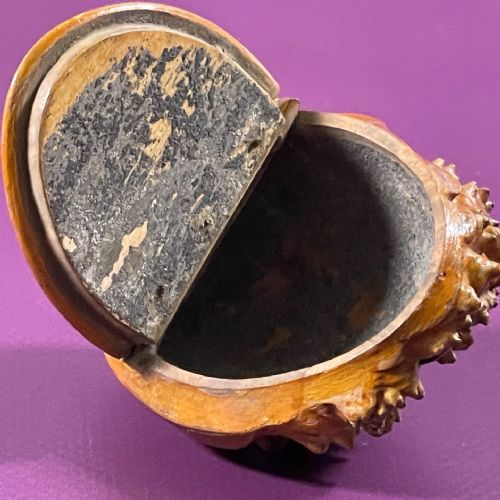 ANTIQUE BURR ROOT SCOTTISH SNUFF BOX TREEN - ADDITIONAL PHOTO 1