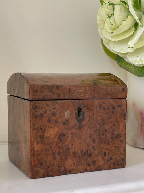 A GEORGIAN YEW WOOD TEA CADDY SMALL SIZE - ADDITIONAL PHOTO 1