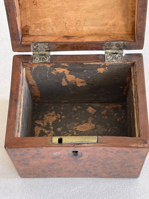 A GEORGIAN YEW WOOD TEA CADDY SMALL SIZE - ADDITIONAL PHOTO 2