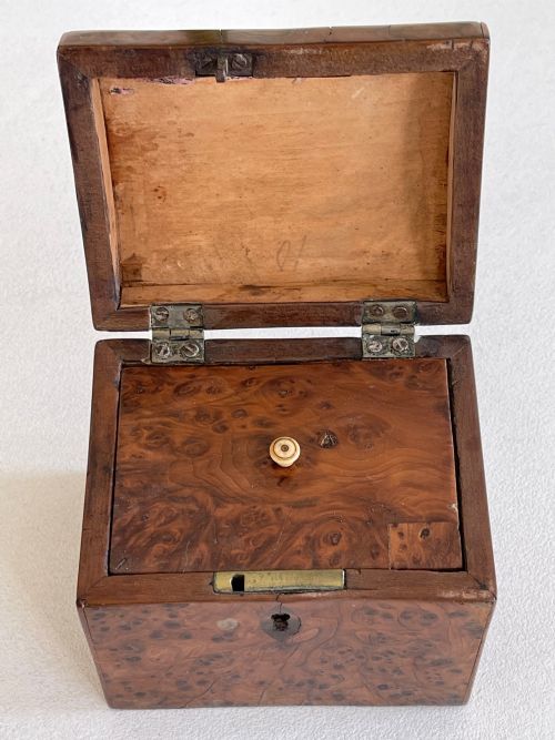 A GEORGIAN YEW WOOD TEA CADDY SMALL SIZE - ADDITIONAL PHOTO 3
