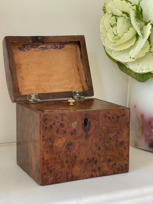 A GEORGIAN YEW WOOD TEA CADDY SMALL SIZE - ADDITIONAL PHOTO 4