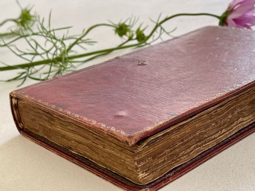 ANTIQUERED LEATHER BOOK BOX - ADDITIONAL PHOTO 7
