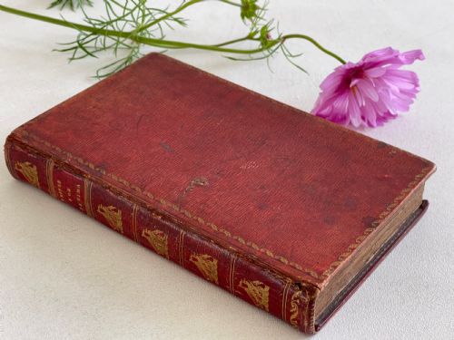 ANTIQUERED LEATHER BOOK BOX - ADDITIONAL PHOTO 8