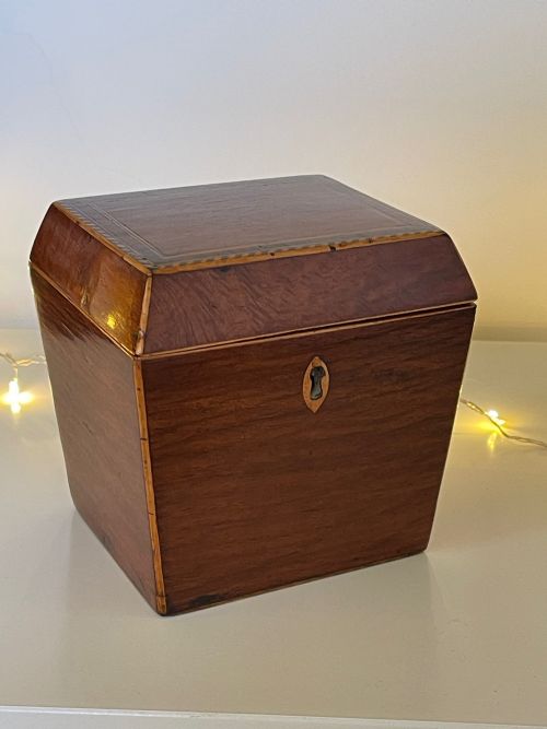 antique single compartment partridge wood tea caddy sarcophagus shaped - CATEGORY: ANTIQUE BOXES - DATED GEORGIAN