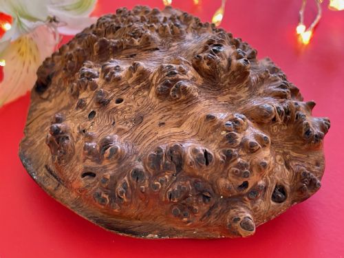ANTIQUE SCOTTISH BURR WOOD SNUFF BOX - ADDITIONAL PHOTO 1