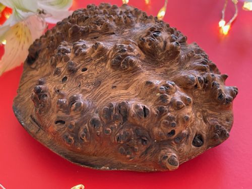 ANTIQUE SCOTTISH BURR WOOD SNUFF BOX - ADDITIONAL PHOTO 4