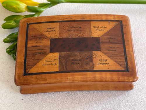 AN ANTIQUE SCOTTISH SPECIMEN WOOD SNUFF BOX - ADDITIONAL PHOTO 2