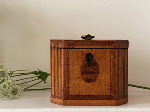 A GEORGIAN HAREWOOD TEA CADDY - ADDITIONAL PHOTO 1