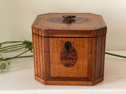 A GEORGIAN HAREWOOD TEA CADDY - ADDITIONAL PHOTO 3