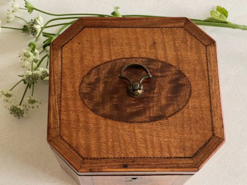 A GEORGIAN HAREWOOD TEA CADDY - ADDITIONAL PHOTO 5