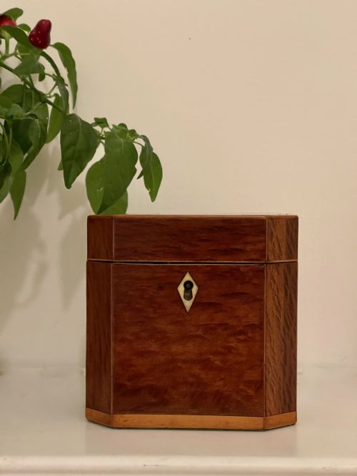 antique georgian tea caddy partridge wood - CATEGORY: ANTIQUE BOXES - DATED GEORGIAN