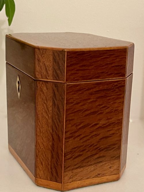 ANTIQUE GEORGIAN TEA CADDY PARTRIDGE WOOD - ADDITIONAL PHOTO 2