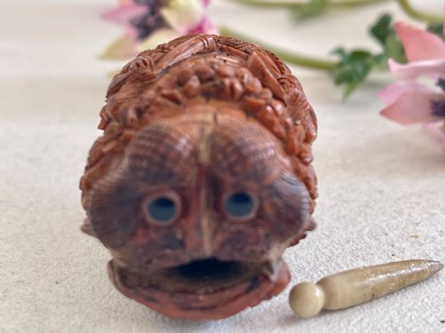 ANTIQUE COQUILLA NUT BUGBEAR SNUFF FLASK - ADDITIONAL PHOTO 2