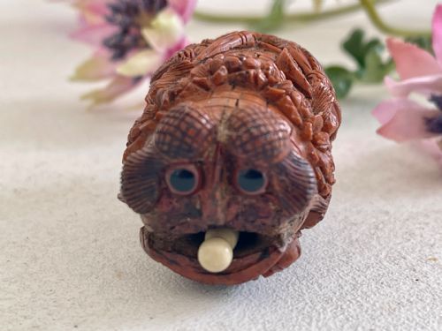 ANTIQUE COQUILLA NUT BUGBEAR SNUFF FLASK - ADDITIONAL PHOTO 6