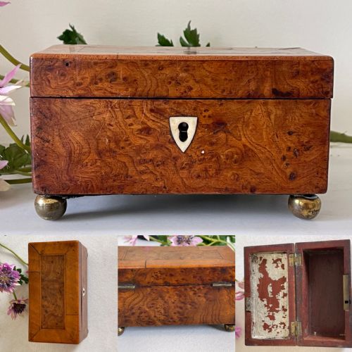 a miniature georgian yew wood tea caddy - CATEGORY: ANTIQUE BOXES - DATED GEORGIAN