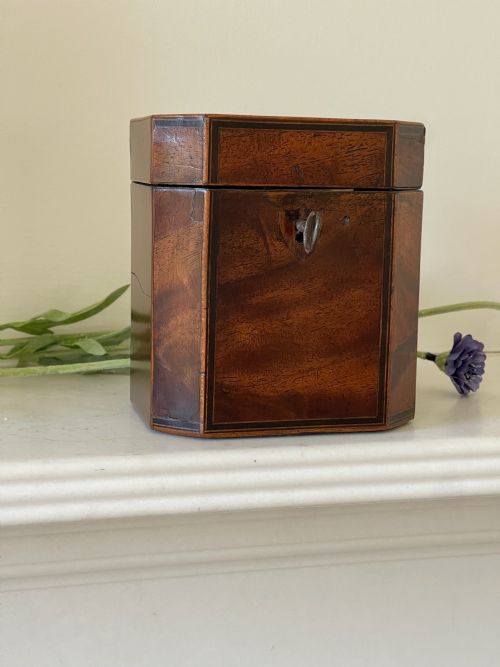 a small georgian mahogany tea caddy - CATEGORY: ANTIQUE BOXES - DATED GEORGIAN